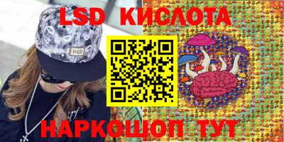 стафф Чебоксары