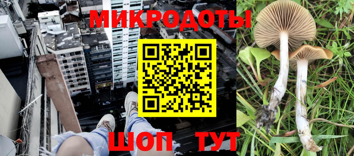 Галлюциногенные грибы Psilocybine cubensis  Вход с VPN  цена наркотик  Нефтекумск 